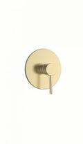 GINI- ΜΠΑΤΑΡΙΑ ΛΟΥΤΡΟΥ ΕΝΤΟΙΧΙΣΜΟΥ ONE FUNCTION BRUSH GOLD